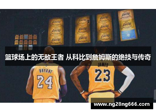篮球场上的无敌王者 从科比到詹姆斯的绝技与传奇