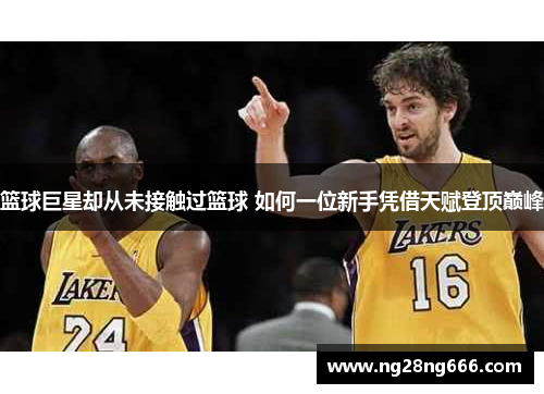 篮球巨星却从未接触过篮球 如何一位新手凭借天赋登顶巅峰